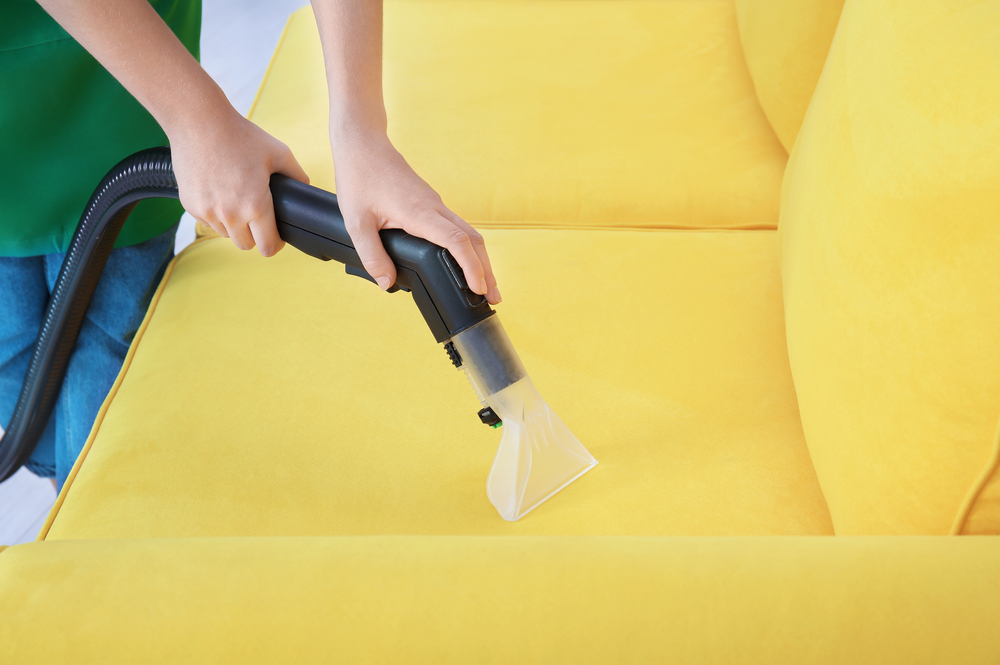 Uplift Your Upholstery